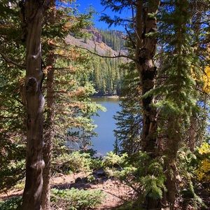 Meet your Posher, Brynn